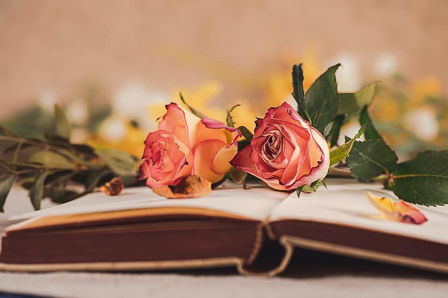 gėlės, rožės, knyga, meilė, romantiškas, Valentino, žydi, žiedas