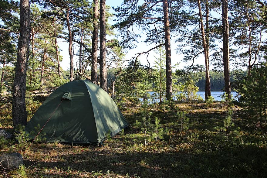 telt, skog, trær, camping, skjærgård, hav