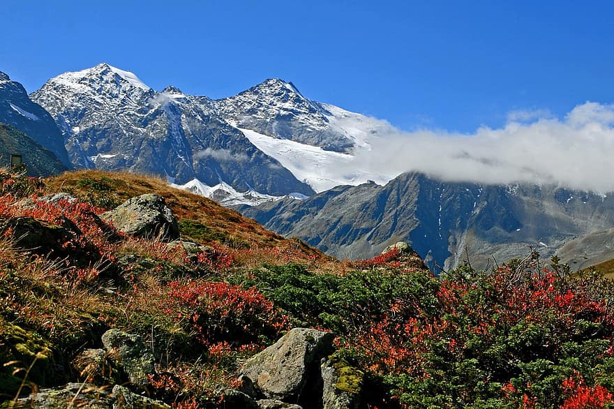 kalni, augstākā līmeņa sanāksmē, alpi, pārgājiens, kritums, Austrijā, ārā, kalns, kalnu virsotne, sniegs, ainavu