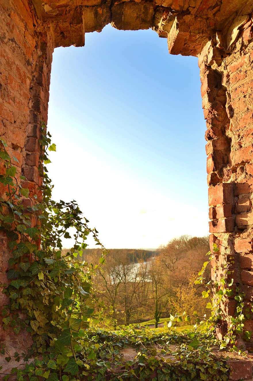 прозорец, замък, руини, тухли, листа, бръшлян, изоставен, исторически, стар, дървета, падане