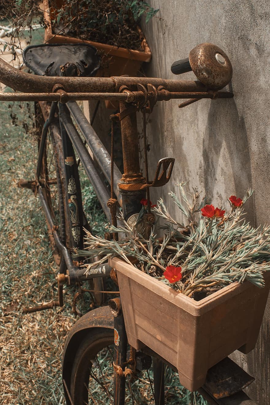 sepeda, vintage, antik, pot bunga, bunga-bunga, taman, alam, kayu, pemandangan pedesaan, pertanian, kuno