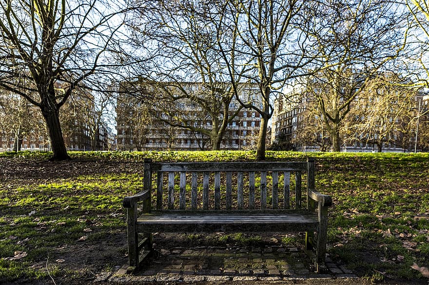 Bench, Trees, Leaves, Foliage, Park, City, Buildings, Seat, London, Grass, Quiet