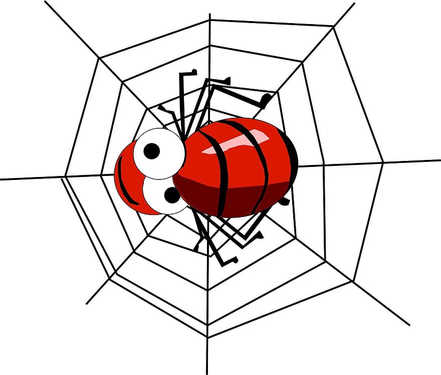 Spindel, spindelnät, nätverk, insekt, röd, webb, insekter, små