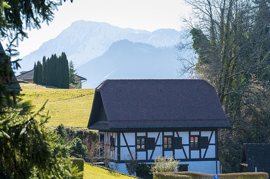 مدينة ، منزل ، الجانب القطري ، قرية ، طبيعة ، ميجين ، سويسرا ، بحيرة لوسيرن