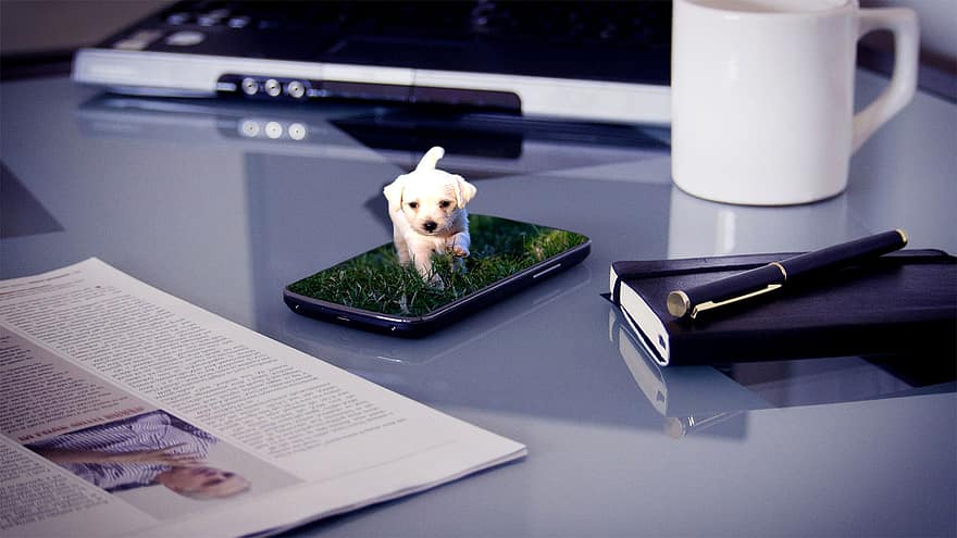 hund, valp, gress, gå, android, smarttelefon, samsung, iphone, Mobil bærbar datamaskin, bord, dokument