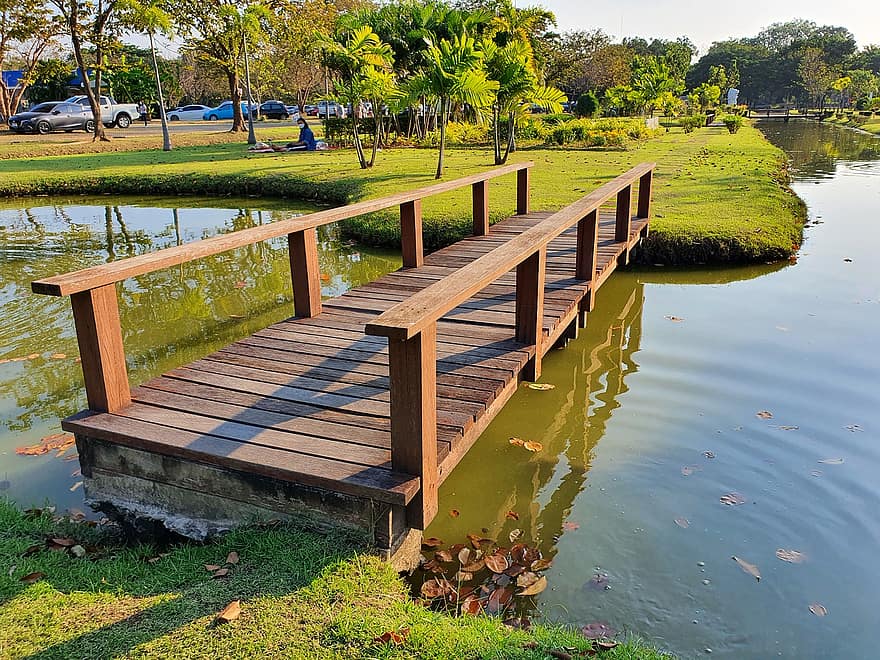 rybník, park, most, Příroda, Nakhon Pathom