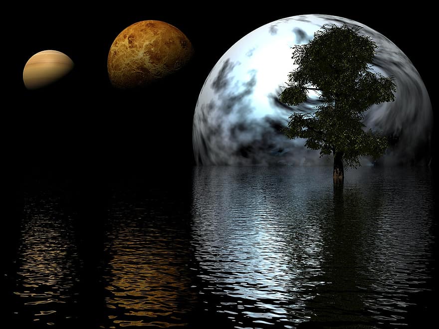 planètes, arbre, eau, océan, espace, fantaisie, science fiction, eau noire, arbre noir, mer Noire, Science noire