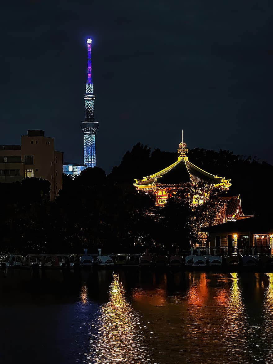 gece, karanlık, El Yıkama Köşkü, Bentendo, tapınak, Shinobazu Göleti, Ueno Park, Taito City, Tokyo, Japonya, ışıklar