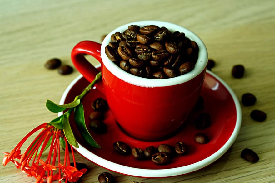 Puchar, Kawa, ziarna kawy, kofeina, zbliżenie, drink, fasola, świeżość, drewno, tła, jedzenie