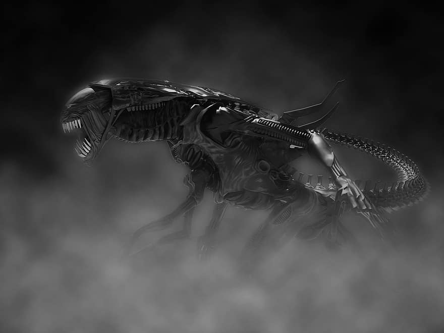 Insect, Nature, Animal World, Evertebrat, Side View, Black And White Photography, Animal