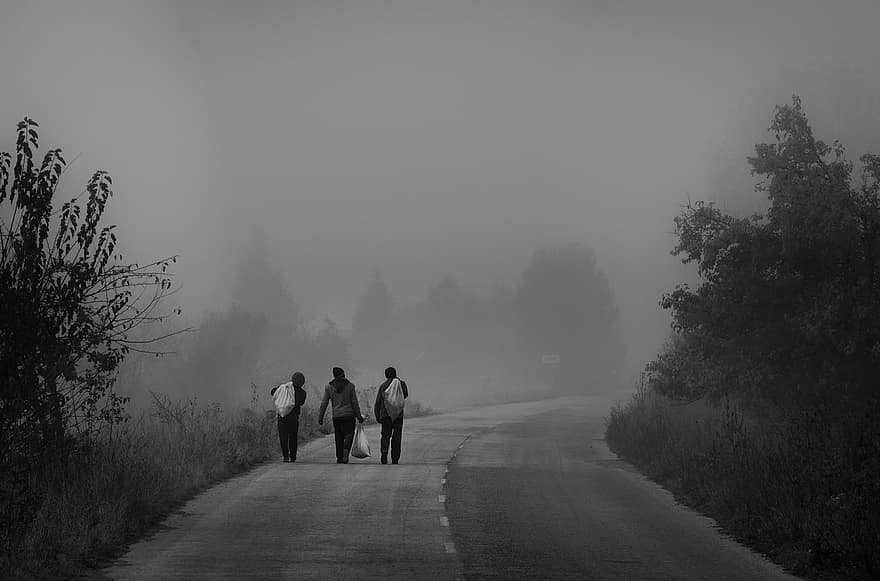 Droga, ludzie, mgła, palić, brudny, tajemniczy, ranek, drzewa, las