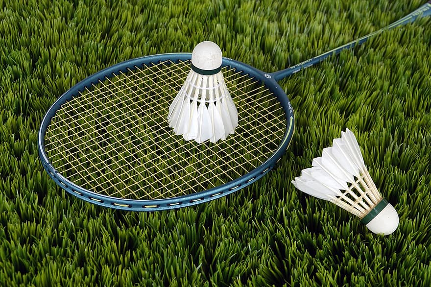 badminton, rekkert, shuttlecocks, gress, spille, spill, sport, rekreasjon, utstyr, tennis, spiller