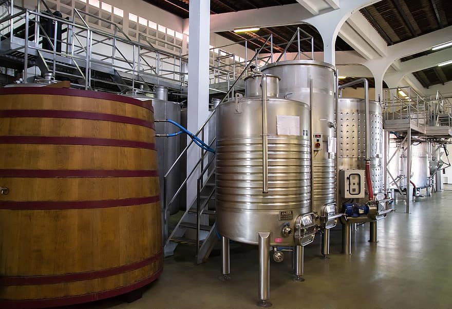 vin destilleri, vinlaging, vindyrking, Azorene