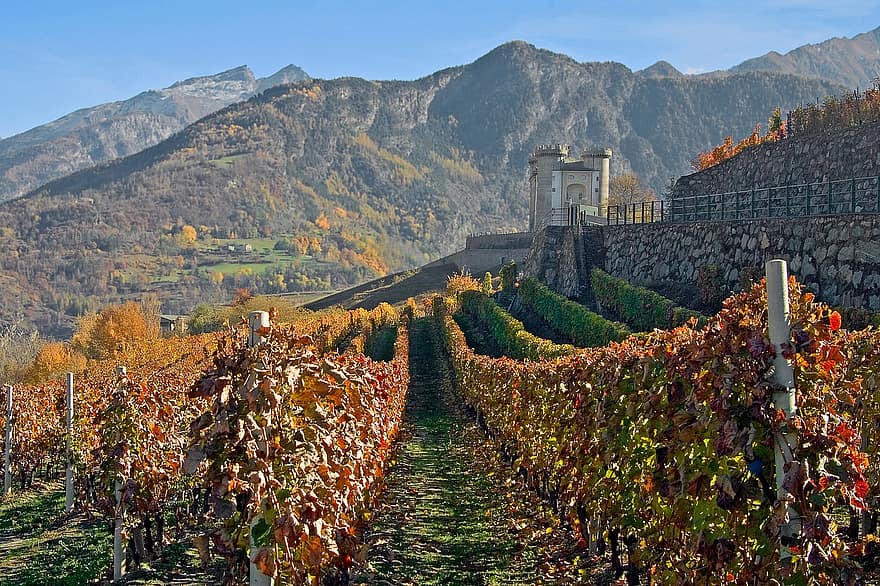 empulgueras, castillo, montañas, otoño, tornillo, viñedo, viticultura, reabastecimiento, cultivo, agricultura, naturaleza