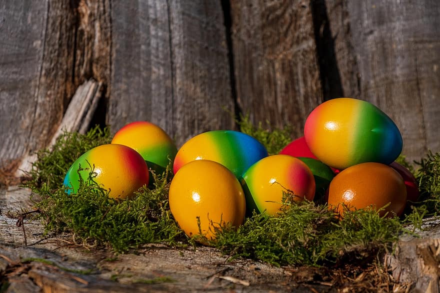 œufs de Pâques, coloré, des œufs, multi couleur, Pâques, forêt, multicolore, fête de pâques, heure de l'Est, aliments, herbe