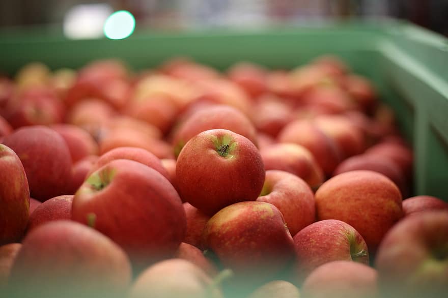 jablka, ovoce, jídlo, čerstvý, zdravý, zralý, organický, sladký, vyrobit