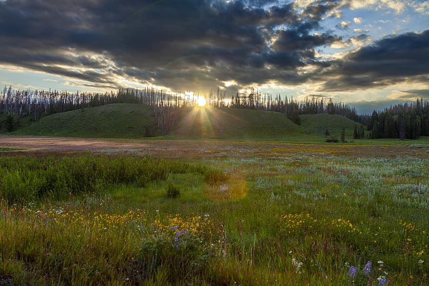natură, călătorie, explorare, Yellowstone, în aer liber, peisaj, dimineaţă, soare, nori, tapet, luncă