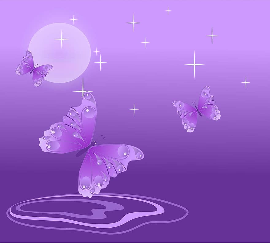 Butterfly, Purple, White, Design, Insect, Decoration, Floral, Silhouette, Wing, Artistic, Elegant