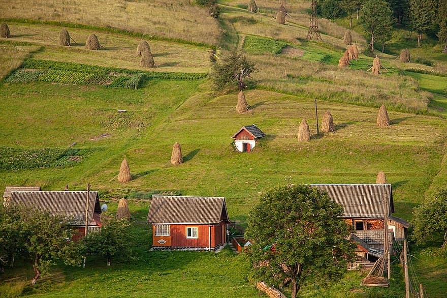 montes de Cárpatos, montañas, Ucrania, campo, naturaleza, pueblo, escena rural, hierba, granja, paisaje, prado