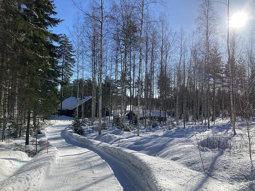 сняг, зимен пейзаж, покривен лед, снежен пейзаж, Финландия, студ, зима, синьо небе, природа, замръзнал, скреж