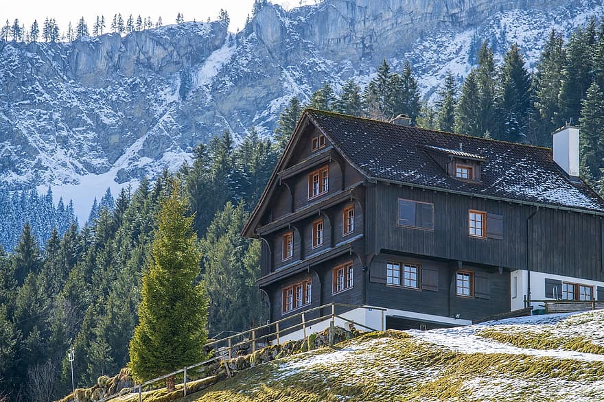 hus, vinter, natur, årstid, husly, hytte, Sveits, sentrale Sveits, fjell, snø, skog