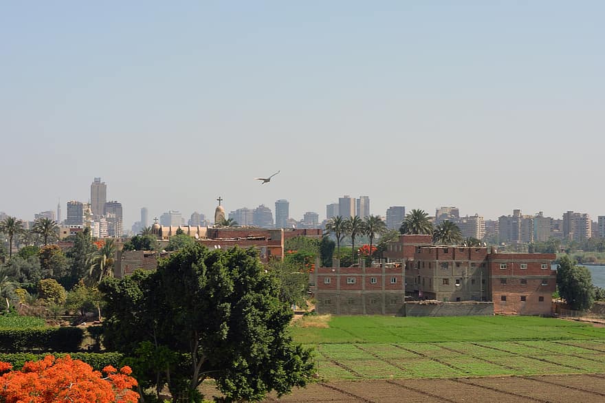 Cairo, Ilha Dahab, cidade, paisagem urbana, Egito, panorama