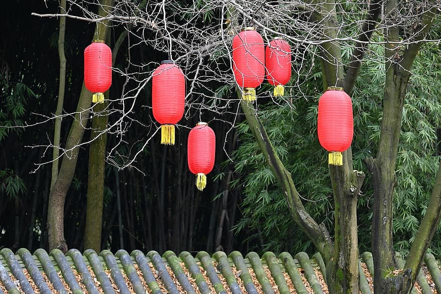 Forårsfestival, lanterner, festival, lanterne, kulturer, fest, dekoration, træ, kinesisk kultur, traditionel festival, multi farvet