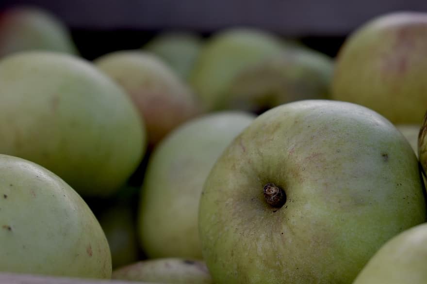 яблука, фрукти, урожай, стиглі плоди