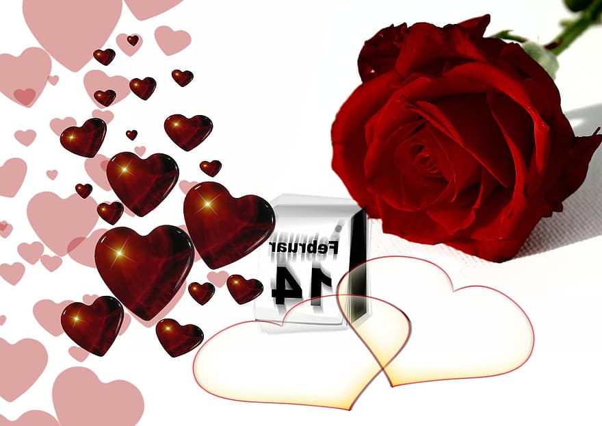 rosa, cuore, amore, fortuna, astratto, relazione, grazie, arredamento, decorazione, febbraio, Festival