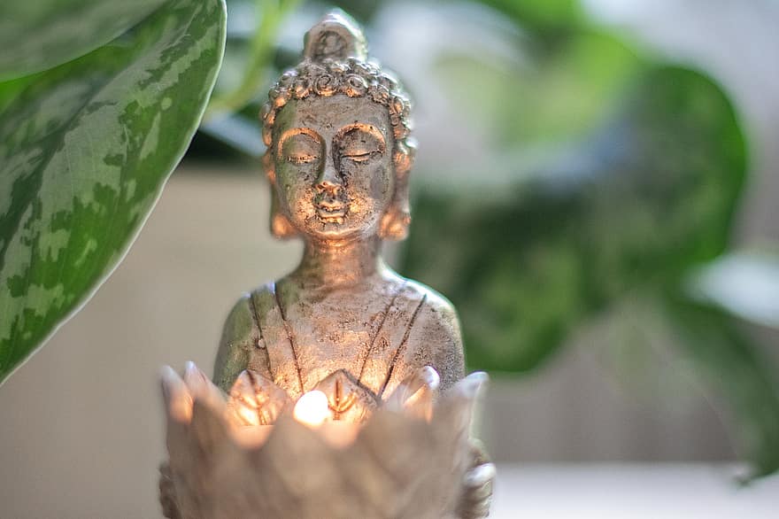 Budda, światło, medytacja, duchowość, roślina, zrelaksować się, wellness, duch, uważność, odbicie, entschleunigung