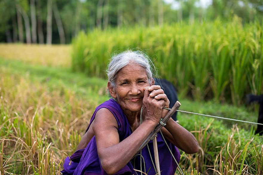 anciana, sonreír, campo de arroz, granjero, mujer, antiguo, mayor, Envejecido, feliz, actitud, sentado
