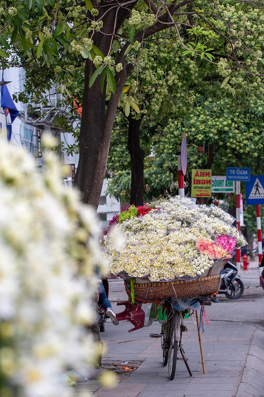 mercat de flors, venedor de carrer, flors, vida de ciutat, rams de flors, carrer, hanoi