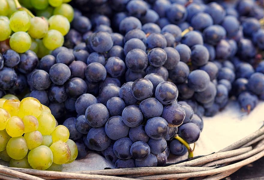 gyümölcs, szőlő, aratás