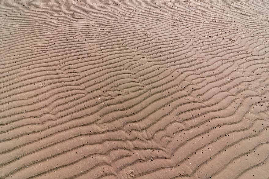 areia, Marcas de ondulação, Linhas de Onda, de praia, natureza, duna de areia, padronizar, origens, panorama, seco, clima árido