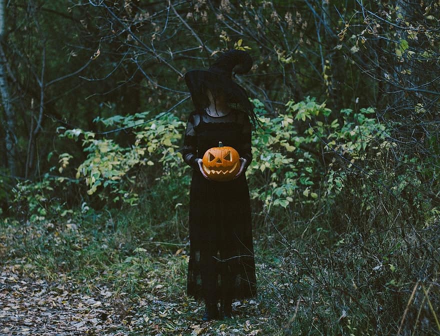 dovleac, vrăjitoare, Halloween, costum, pădure, luminiță rătăcitoare, sculptură de dovleac, rochie neagra, voal negru, pălărie de vrăjitoare, costum de Halloween