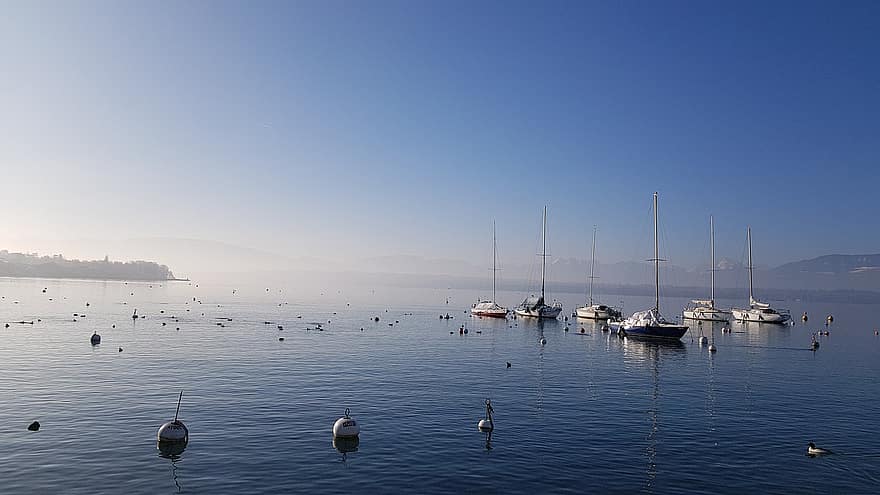 Genfer See, Schweiz, Morgen, Boote, Segelboote, Wasserfahrzeug, Yacht, Wasser, Segelboot, Segeln, Blau