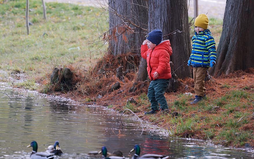 Children, Feeding, Birds, Lake, Naturally, Parka, Trees, Autumn