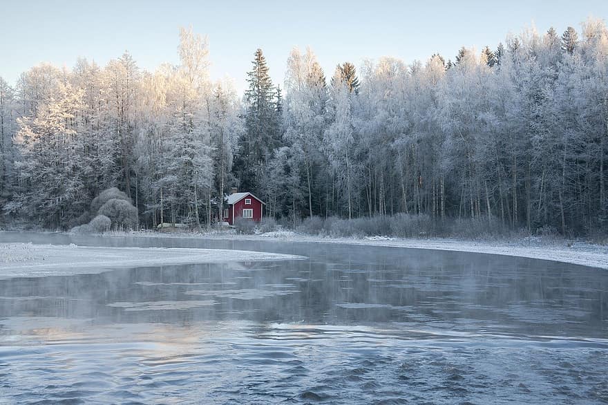 Cottage, sauna, fiume, foresta, inverno, natura, stagione, la neve, albero, paesaggio, ghiaccio