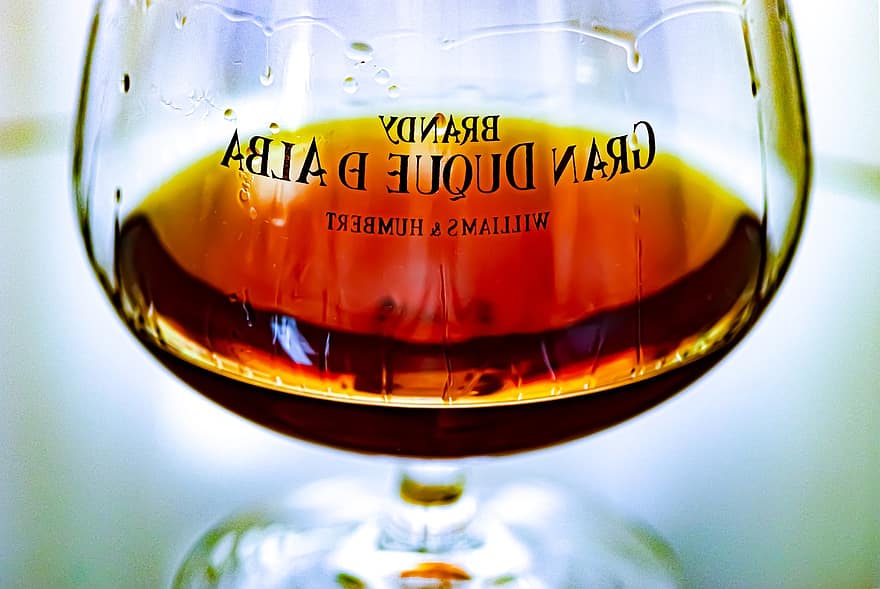 brandy, alkoholholdige drikkevarer, glas, Gran Duque De Alba, drikke, drik, drikkeglas, brandy glas, Ballon glas, brandy snifter, sprut