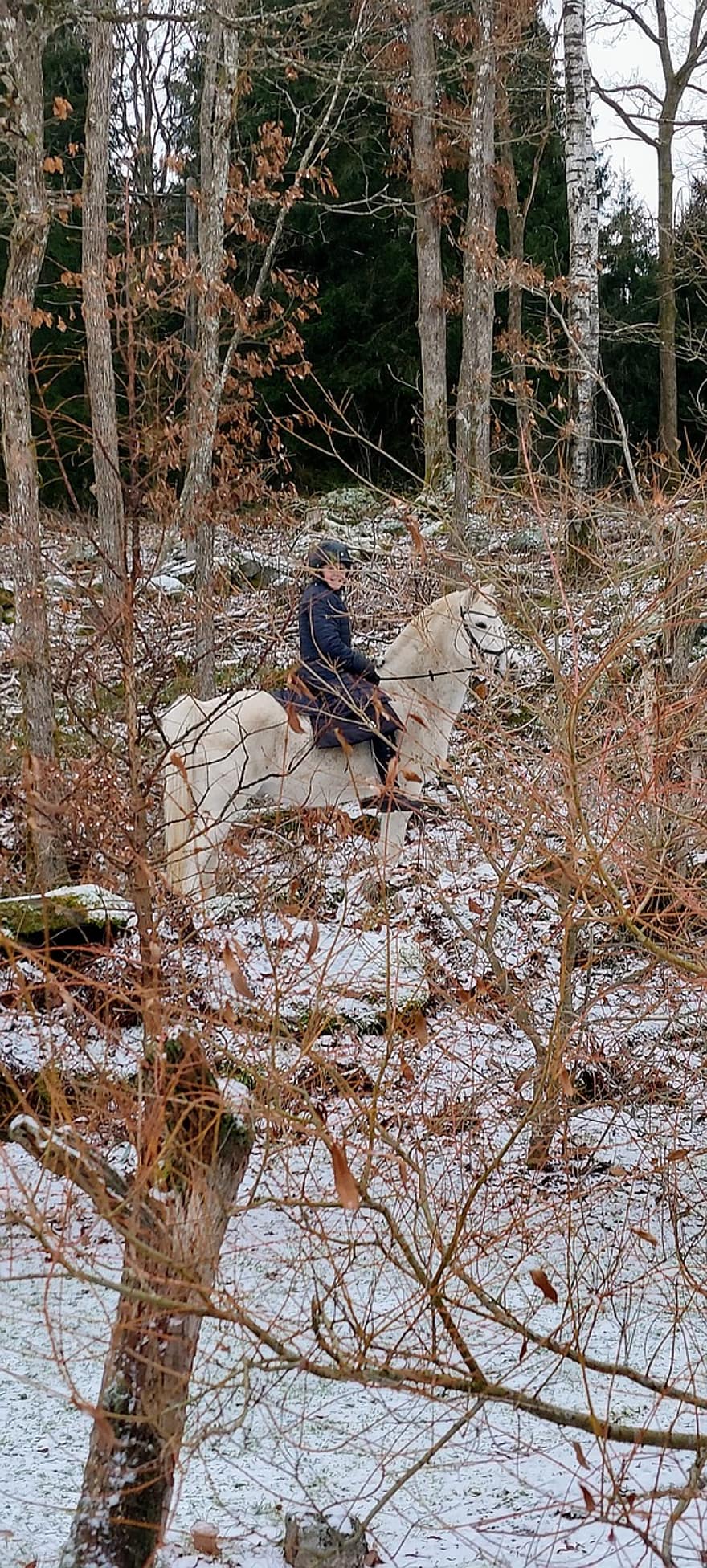 bílý kůň, jezdkyně