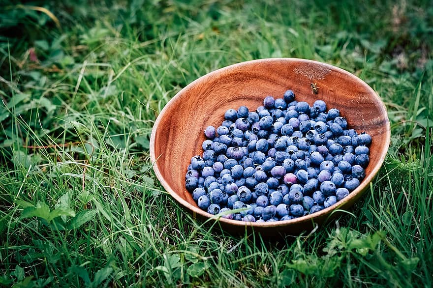 Blueberries, Fruits, Berries, Ripe, Foliage, Wooden Bowl, Bowl Of Berries, Bowl Of Blueberries, Fresh, Produce, Harvest