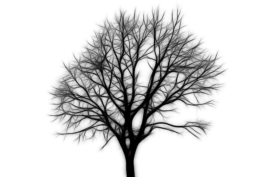 drzewo, plemię, Oddział, kahl, beschnitten, chmury, niebo, odosobniony, filtr, rozgałęzia się
