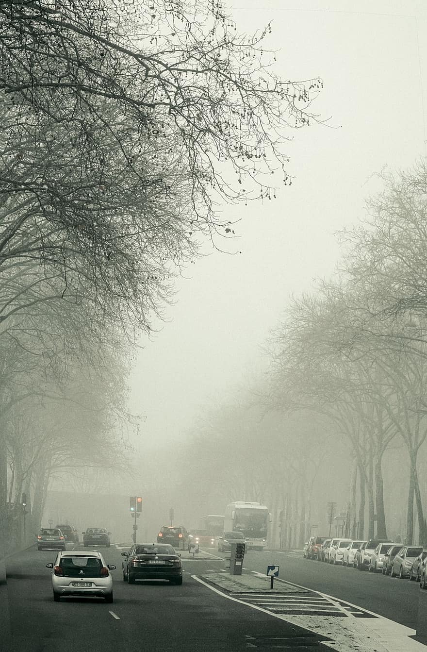 la carretera, tráfico, niebla, Francia, calle, vehículos, coches, viaje, avenida, urbano, ciudad