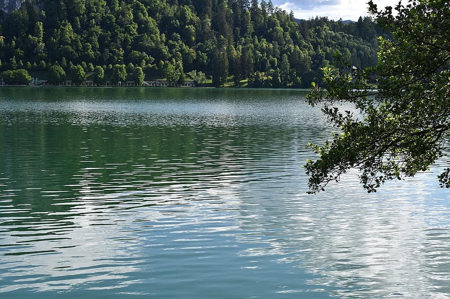 lago sangrado, lago, eslovénia