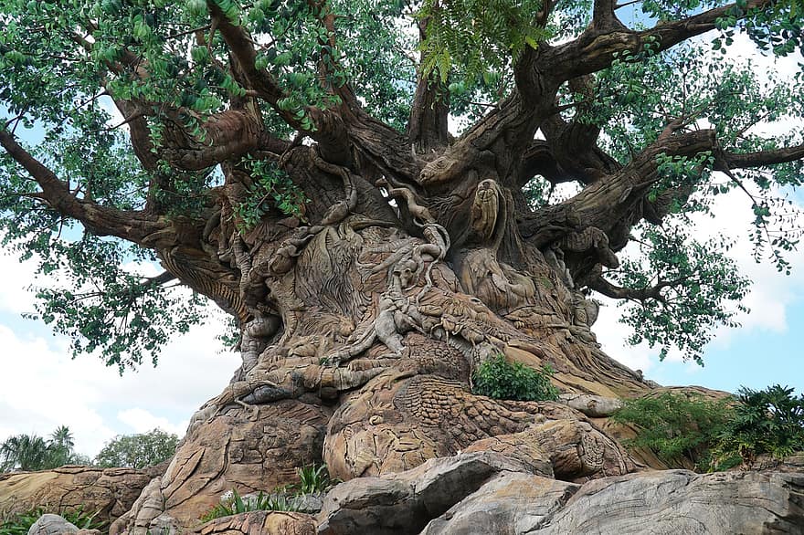 elämän puu, eläinkunta, Animal Kingdom Tree Of Life