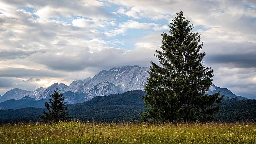 alpino, montagne, paesaggio, natura, prato, Baviera, panorama, escursioni a piedi, vacanze, allgäu, nuvole