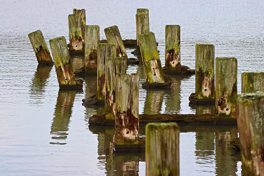 Wood, Stumps, Lake, Pier, Old, Timber, Water, jetty, weathered, tranquil scene, summer