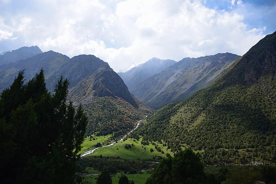 montagne, valli, catena montuosa, montagnoso, foresta, boschi, pascolo, i campi, fiume, Kyrgyzstan, verde