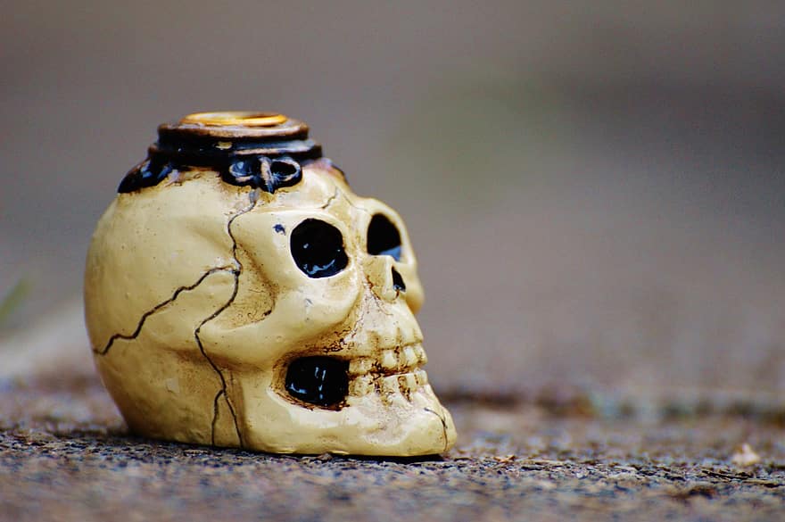 czaszka i Piszczele, przerażający, halloween, czaszka, kość czaszki, dziwne, straszny, kość, śmierć, przerażenie, strach