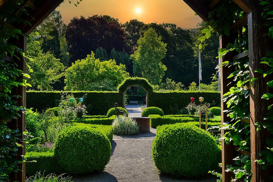 Park, Garden, Hedges, Landscape, Plants, Botanical Garden, Passage, Nature, Augsburg, Sun, Sunlight